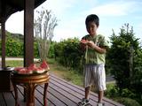 八丈島での柊次